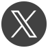 公式X