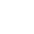 公式X